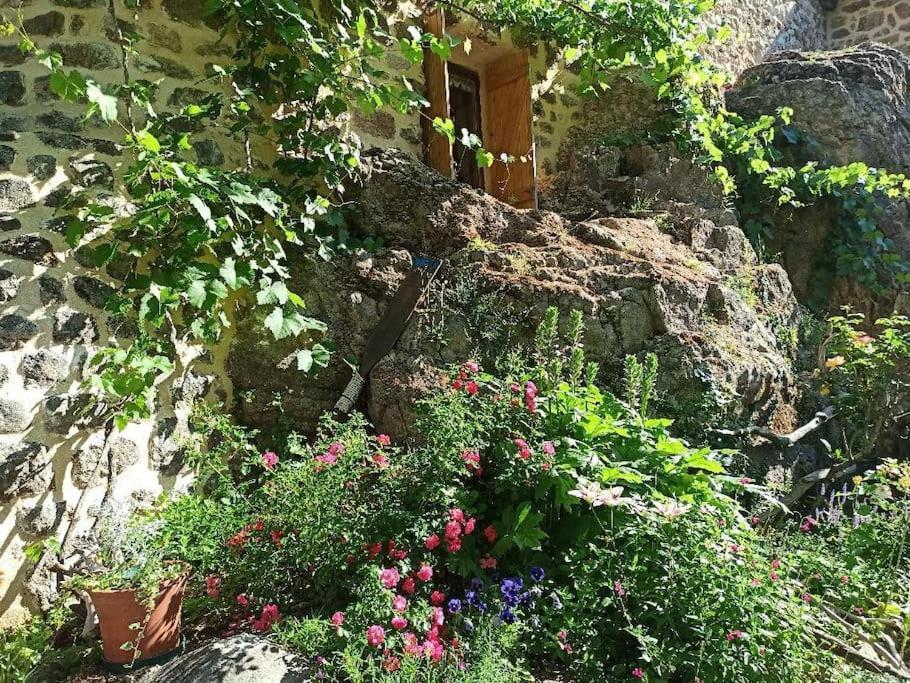 Gite Le Rocher Du Chateau De Retourtour Lamastre Dış mekan fotoğraf